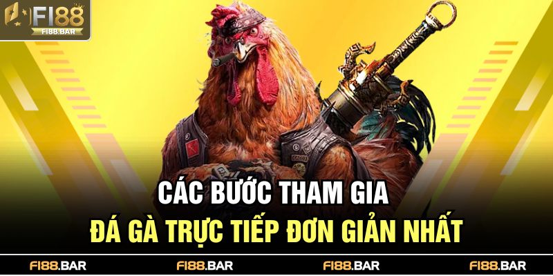 Các bước tham gia đá gà trực tiếp đơn giản nhất