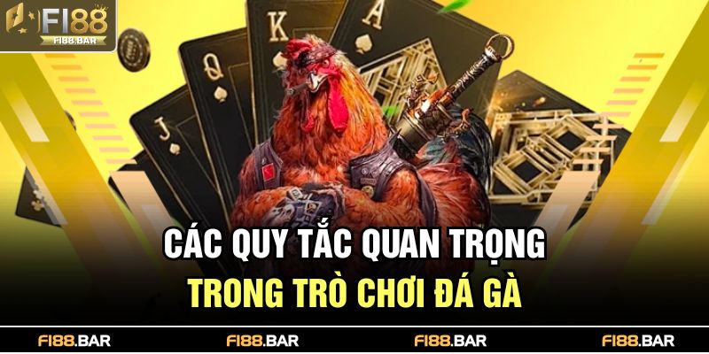 Đá Gà Là Gì – Trò Giải Trí Kịch Tính Được Ưa Chuộng 4 Các quy tắc quan trọng trong trò chơi đá gà