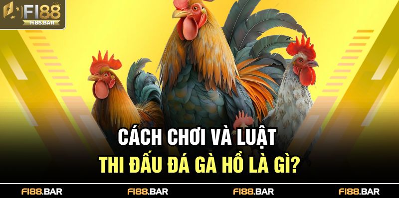 Cách chơi và luật thi đấu đá gà hồ là gì?