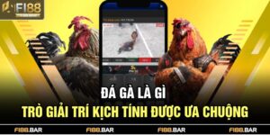 Đá gà là gì