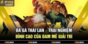Đá gà Thái Lan