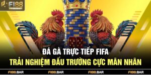 Đá gà trực tiếp FIFA