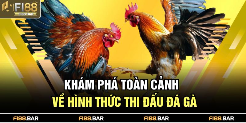 Đá Gà Là Gì – Trò Giải Trí Kịch Tính Được Ưa Chuộng 2 Khám phá toàn cảnh về hình thức thi đấu đá gà