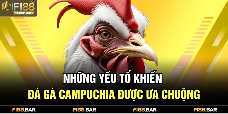 Những yếu tố khiến đá gà Campuchia được ưa chuộng