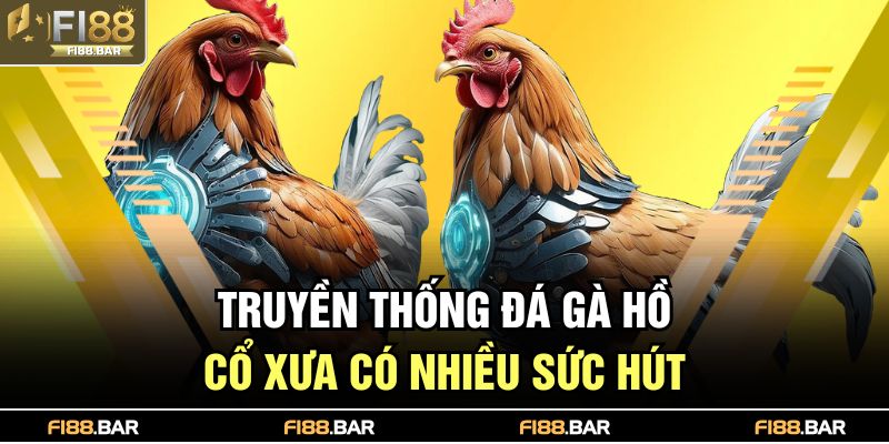 Truyền thống đá gà hồ cổ xưa có nhiều sức hút